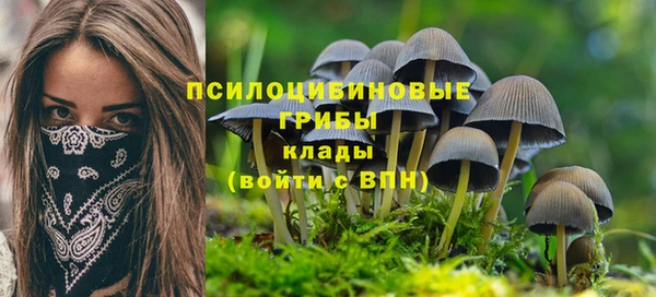 тгк Кинешма
